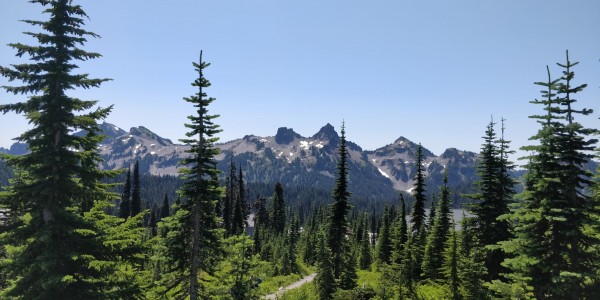 Skyrim Trail near Mount Rainier
